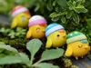 2017 nouveau Moss micro - pendule poussins bricolage assemblage petits ornements variété de poussins décorations de jardin livraison gratuite