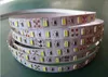 5M 5050 3528 5630 Led Strips Light Warm White Red Green Blue RGB Flexible 5M Roll 300 Leds 12V outdoor Ribbon Waterproof 300300