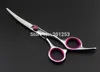 전체 스테인레스 스틸 60 인치 4pcsset Jason Pet Grooming Scissors Silver Dog Shears 똑바로 얇게 썬 가위 Scissorslzs064247702