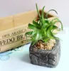 Artificielle Vert En Pot Emulational Succulentes Petite Plante Avec Des Pots pour La Maison Jardin De Mariage Table D'anniversaire Décoration De Fête De Noël