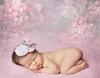 Newborn Baby Shower Backdrop Photography Blurry Pink Flowers Digital Printed Vinyl Cloth Floral Backgrounds for Photo Studio