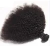 Malezyjskie dziewicze włosy ludzkie afro perwersyjne kręcone nieprzetworzone Remy Hair Weavs Double Wefts 100g / pakiet 1 bundle / lot można barwić wybielone Fedex