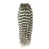 Grijs haar weven braziliaanse kinky krullend hari zilver grijs menselijk haar weave 100g braziliaanse kinky krullend maagdelijke grijze haarextensions 1 stks