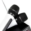 Système de Microphone sans fil professionnel UHF, double micro portable, écran LCD, pour ordinateur, mélangeur de karaoké, conférence KTV, chant, Microfone Sem Fio