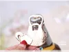 200PCS / Parti Lucky Golden Elephant Bottle Opener Gold Wedding Favors Party Giveaway Gift för gäst # RG609