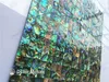 Abalone Paua Sea Shell Mother of Pearl Mosaic Tiles For Interior House Decoration Kök och badrum Väggplattor Sömlöst Shell T253L