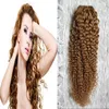 Mel Loiro Mongol Afro Kinky Cabelo Encaracolado Weave Bundles 100g Cabelo Louro Não-remy Cabelo Humano Tecelagem