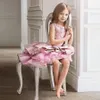 Dresses Gorgeous Vestidos de Primera Girl Dres Comunion Zipper Draped Aline Pageant Christmas Pink Tulle Rustic Flower Girl Dress Layer T