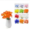 FLOREALE Fiore decorativo artificiale 20 colori Mini Calla Lily Bundle per la decorazione di nozze