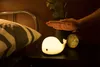 Small Dolphin Pat LED Night Light Touch Sensor Button Light with USB Charger Lamp for Bathrooms Bedrooms Decor