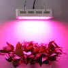 LED växer ljus 300W 600W fullt spektrum för hydroponic inomhus växthus växtblommande julljus