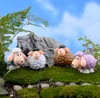 8pcs Cartoon Sheep Terrarium miniatures Fairy Garden Flower State State