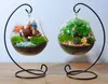 1SET Clear Glass Round Bottle Vase with 1 Hole Flower Plant Metal Stand Hanging Vase not any plant Hydroponic Home Office Decor Va9032468