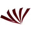 Rot-schwarze Truthahnfedern, 5-Zoll-Schild, linker Flügel, Befiederung für Bambus-Holz-Bogenschießenpfeile, Outdoor-Jagd, Schießen, 30 Stück