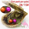 Kralen Premium zoetwaterparels Twin Oyster Pearls 6-7 mm Round ongeopende/individuele vacu￼m verpakt gratis