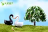 100pcs żywica Whiteblack Swan Miniatures Akcesoria krajobrazowe do dekoracji ogrodu domowego Scrapbooking rzemiosło DIY2828745