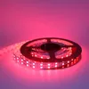 Edison2011 12V 5M 5050 Double Row SMD Tube 600 LEDs Waterproof LED Strip Light Warm White Green Yellow Colorful RGB LED Light