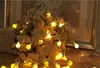 Coversage 10M 100 بقيادة اكليل عيد الميلاد شجرة عيد الميلاد جارلاند سلسلة الديكور الكرة بقيادة الستار نيفيداد الستار الجنية أضواء عطلة