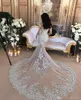 Lyxig glittrande sjöjungfru bröllopsklänning sexig ren bling pärlspets applikation hög hals illusion långärmad champagne kapell brudklänningar