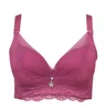 Nuovo reggiseno di pizzo reggiseno grande collare di stampo Celet regolazione pizzo grande reggiseno da donna lingerie sexy reggiseno da donna taglie forti tazza ABCD