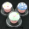 Boîtes à cupcakes en plastique en plastique Clear 50PCS25SET