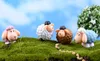 8pcs Cartoon Sheep Terrarium miniatures Fairy Garden Flower State State