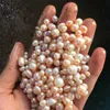 Großhandel 30 Stück 2 # und 3 # Farben Akoya Meerwasser Zwillinge Perlenaustern 6-7mm4A runde Vakuumverpackung Perle kostenloser Versand