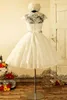 Années 1950 Vintage thé longueur dentelle robe de mariée mancherons perles ceinture courte une ligne courte robes de mariée taille personnalisée275n