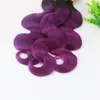 O Weave do cabelo humano empacota a onda do corpo das extensões do cabelo de Remy do ser humano da cor de tom do roxo dois de Ombre 1B