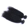 Péruvien Vierge Cheveux Humains Afro Crépus Bouclés Non Transformés Remy Cheveux Tisse Double Trames 100g/Bundle 1bundle/lot Peut être Teint Blanchi