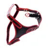 Female adjustable Panties with detachable anal plug Dildo (9cm long) female Rubberized Dildos Panty red color Pants Shorts