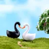 Ornamenti di cigno bianco nero Decorazioni artigianali in resina per giardino domestico Paesaggio in miniatura Giardino fatato Bonsai Terrari Puntelli