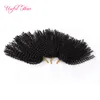 noir 8 pouces Malibob crochet cheveux pour femmes noires Kinky Curly marley tressage Extension de cheveux synthétiques 3pcs / lot Crochet tresses marlybob cheveux