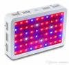 Full Spectrum LED Grow Light Double Chip Led Plant Lamp 600W 800W 1000W 1200W 1600W Indoor greenhouse growing garden flowering hydroponic l