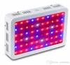 Full Spectrum LED Grow Light Double Chip LED Plantlampa 600W 800W 1000W 1200W 1600W inomhus växthus växande trädgård blommande hydroponic l