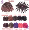 Synthetic Wig for Women Brazil Hair Model Afro Braid 2X wand curl crochet Hair extension braids Bea4551442152