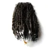 7a Micro Loop Brasilianska förlängningar 100g Applicera Naturligt hår Mikrolänk Hårförlängningar Human 100s Kinky Curly Micro Loop Hårförlängningar