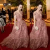 Lily Collins Celebrity Red Dywan Sukienki Sheer Dekolty Wróżki Aplikacje Krótki Rękaw Pretty Evening Suknie 2017 Wspaniała Sukienka Prom Organza