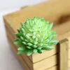 Affascinante Faux Artificiale Piante succulente Emulational Fake Cactus Piante per ufficio Home Decor Desk Tavolo da sposa Mini decorazione floreale