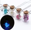 Europa en de Verenigde Staten Beach Rosy Rose Fashion Drift Bottle Hangers Lantaarns Glas Jar Ketting Dames Sieraden J001