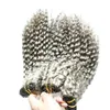 Brasiliansk Kinky Curly Virgin Human Hair Grey Kinky Weave Hair Obehandlat Virgin Brasilianska Grå Hårförlängningar 300g 3st