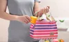 10pcs Ice Packs Thermal Insulated Portable Cool Canvas Stripe Carry Case picnic zipper lunch box 23*15*17cm