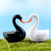 Czarny Biały Swan Ozdoby żywiczne Wystrój rzemiosła w domu Garden Miniaturowy Krajobraz Wróżka Ogród Bonsai Terrarium Rekwizyty