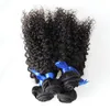 100% Kinky Curly Virgin Hair Brazilian Hair Weave Bundlar Naturligt svart Kinky Curly Virgin Hair, No Shedding, Tangle Gratis