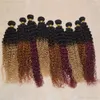 Beaty saç ombre brezilyalı kıvırcık bakire ombre ıslak ve dalgalı bakire iki ton insan örgü Tissage bresilien 3,4,5 adet / grup