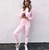 Tute da donna 2 pezzi Set rosa raccolto Top e pantaloni Moda 2017 Autunno Casual Lady Tumblr maniche lunghe felpe con cappuccio pantaloni Suit