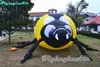 Cartoon Animal Model Inflatable Ladybug Francis 3m length Lively Insect Ladybird for Shown