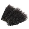 ブラジルの変態巻き巻き人間の髪3束安い変態な巻き毛織り束のグレード8aのバージンヘアエクステンションブラジルの巻き毛