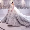 Gorgeous Applique Lace Ball Gown Wedding Dresses Sexy V-Neck Sheer Long Sleeves Promcess Wedding Gown New Plus Size Romantic Bridal Dresses