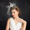 En Stock nouvelle mode 15 cm magnifiques coiffes mariées visage couvert bandeaux accessoires de mariée pour Poshoot279B